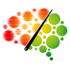 FIRMM logo
