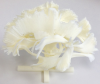 3D print of 1-2y fiber atlas