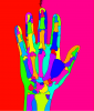 X-ray image segmentation