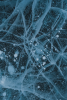 Brain Ice Demo Image 3