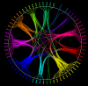Altered Conectome