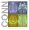 CONN toolbox icon