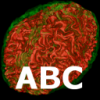 ABC Logo