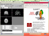 NeuroDebian on OS X (FSLView, Caret view)