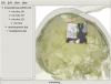 Various mesh and image objects
