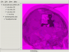 Various mesh and image objects, Anaglyph