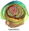 MEG simulation using OpenMEEG