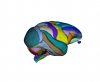 Surface rendering of INIA19 NeuroMaps label map