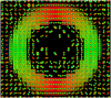 Colormap of a circular phantom