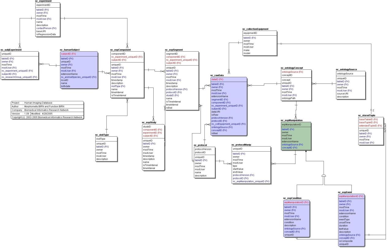 The Human Imaging Database Schema's Experimental Hierarchy
