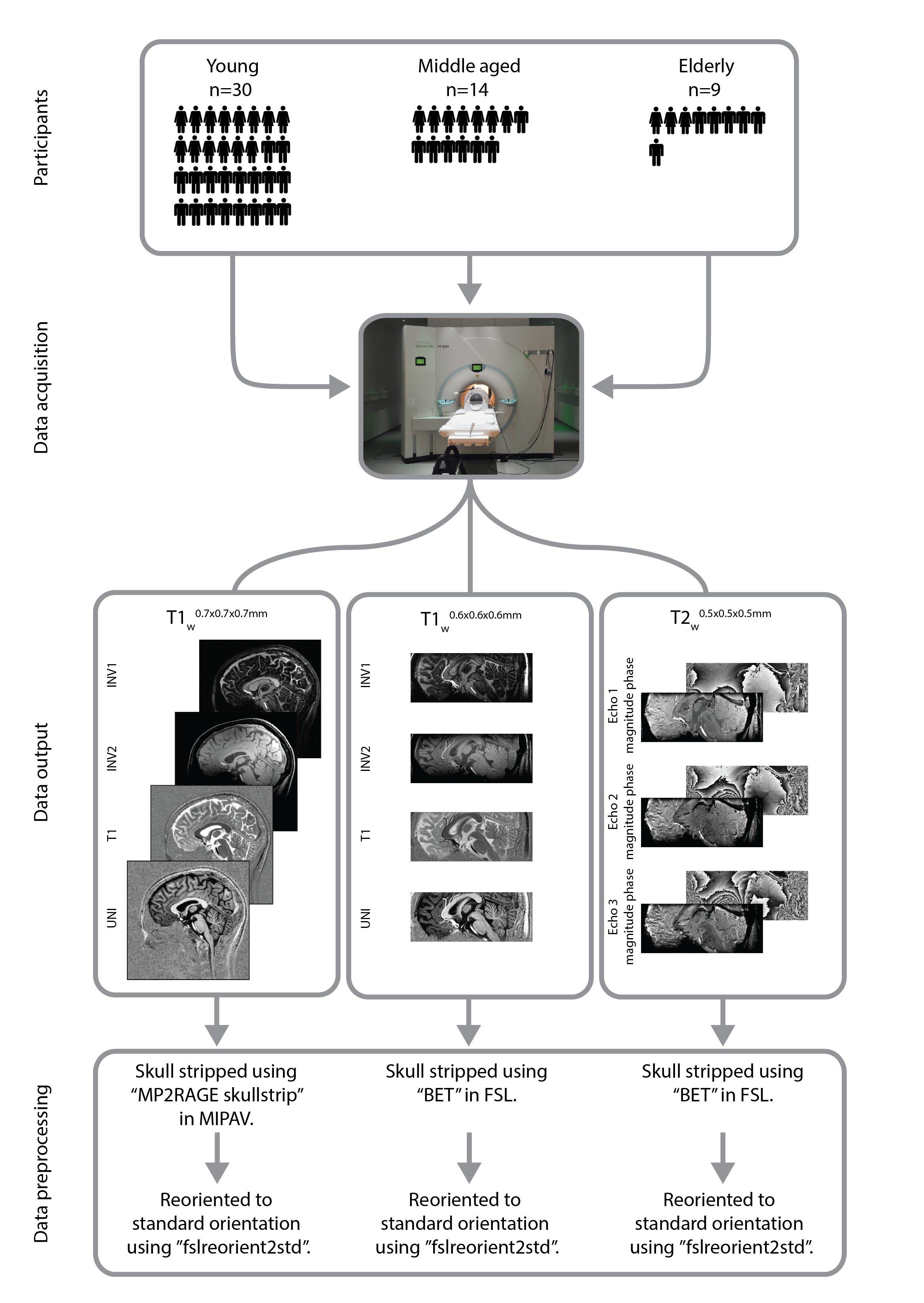 7T Structural MRI scans