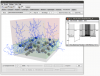 3D network generated and visualised by neuroConstruct