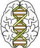 GSP Logo