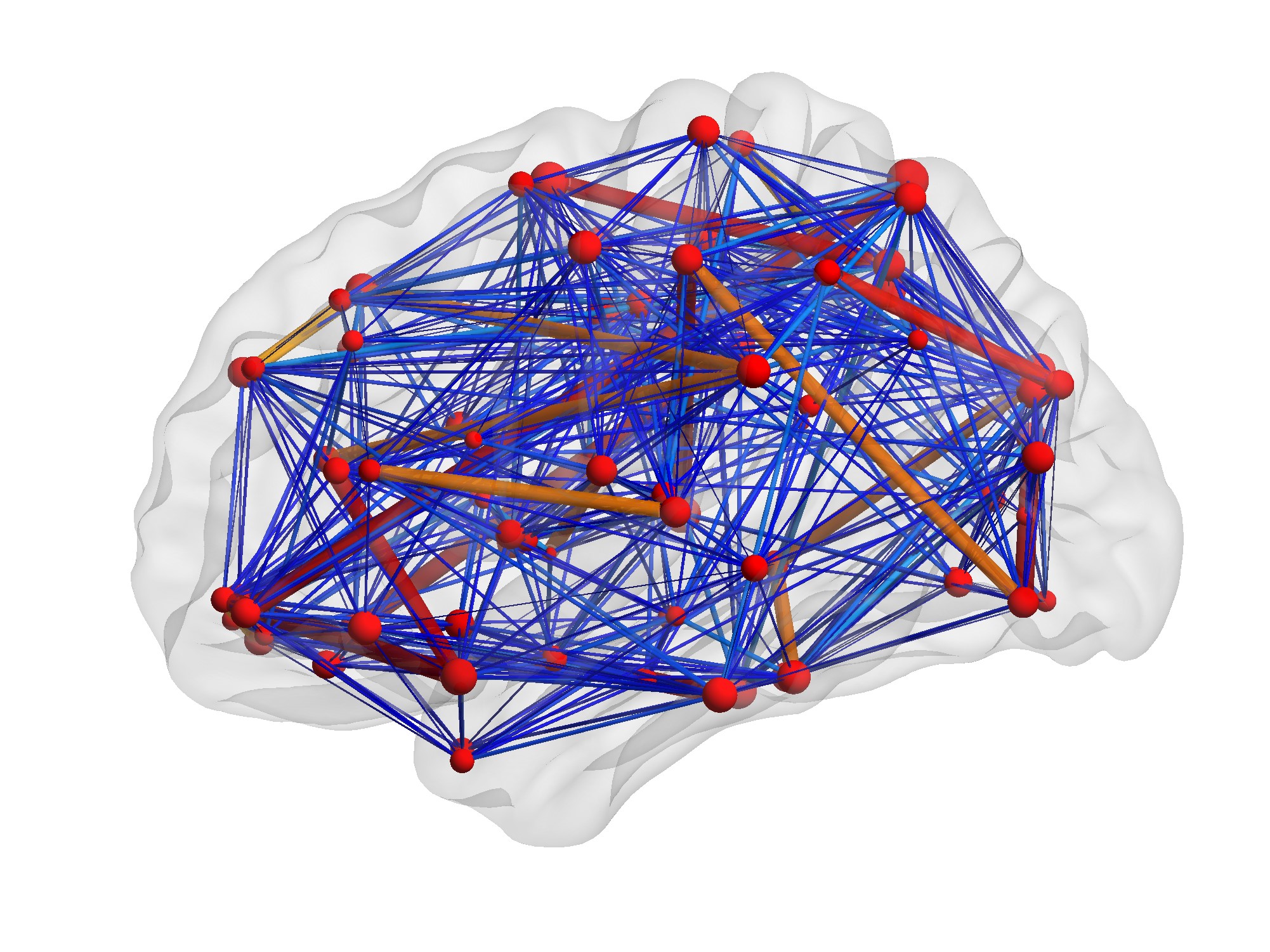 Brain Network