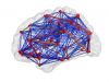 Brain Network